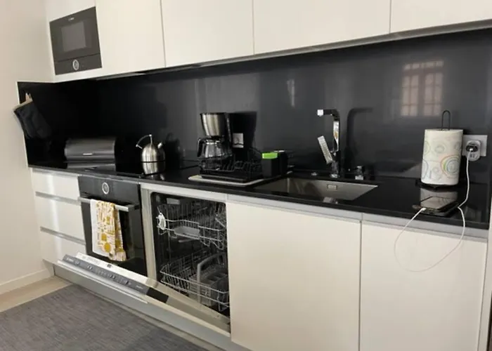 Modern 1 Bedroom Center Apartment *